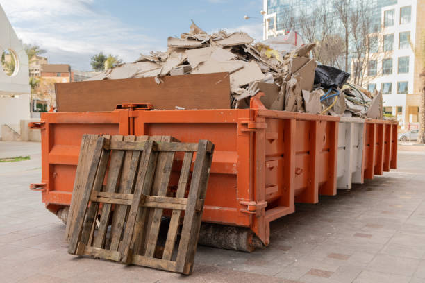 Best Household Junk Removal  in Davison, MI