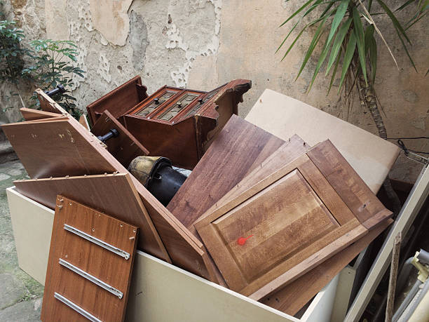 Yard Cleanup Services in Davison, MI